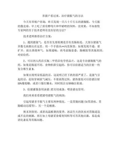 养猪户看过来,治疗猪胀气的方法