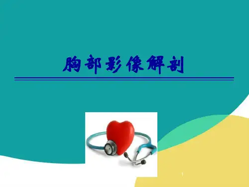 胸部影像解剖医学PPT课件