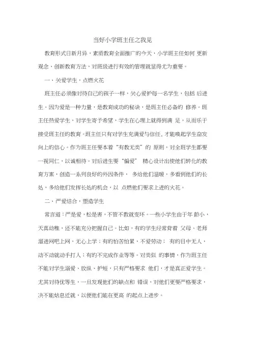当好小学班主任之我见