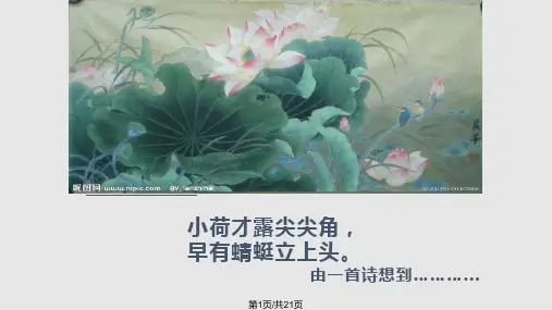 绿色环保保护地球PPT课件