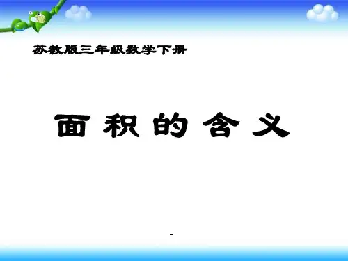 《面积的含义》-课件PPT