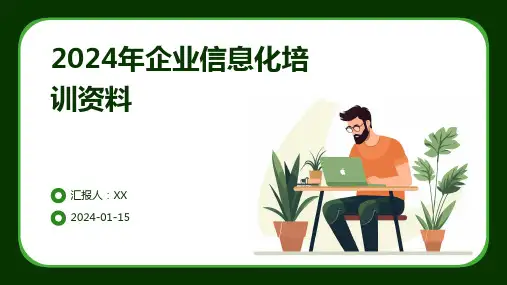 2024年企业信息化培训资料