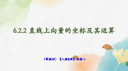 高中数学人教B版 必修第二册 直线上向量的坐标及其运算 课件1