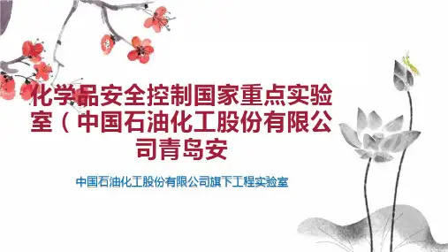 化学品安全控制国家重点实验室(中国石油化工股份有限公司青岛安