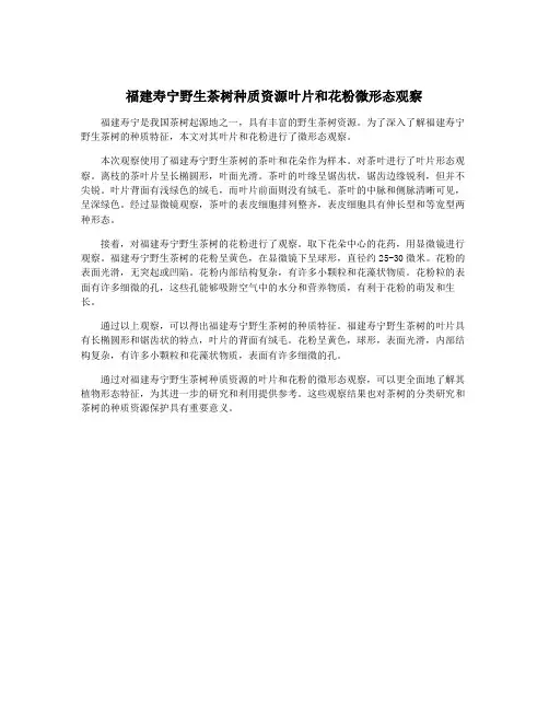 福建寿宁野生茶树种质资源叶片和花粉微形态观察