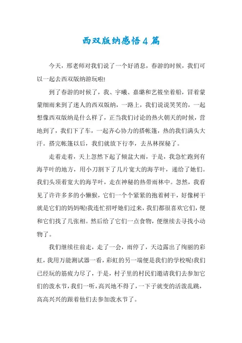 西双版纳感悟4篇