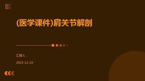 (医学课件)肩关节解剖