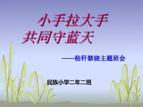 秸秆焚烧主题班会PPT