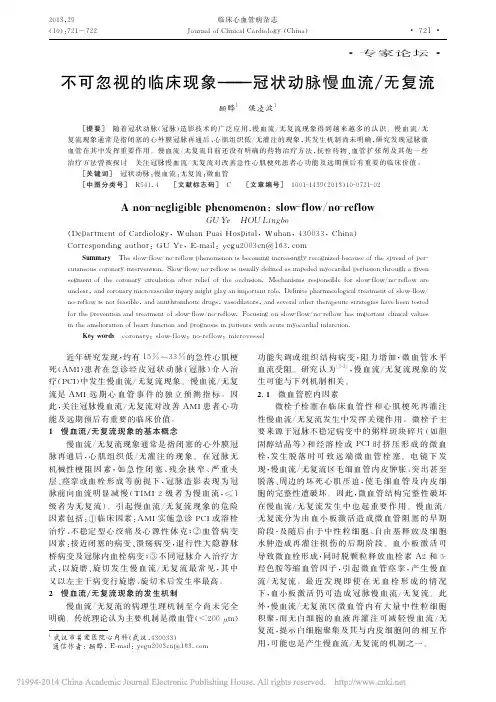 不可忽视的临床现象_冠状动脉慢血流_无复流_顾晔