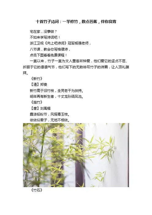 十首竹子诗词：一竿修竹，数点芭蕉，伴你良宵