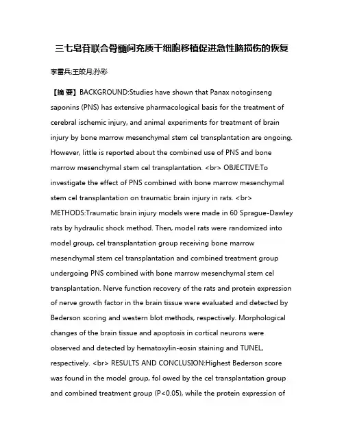 三七皂苷联合骨髓间充质干细胞移植促进急性脑损伤的恢复