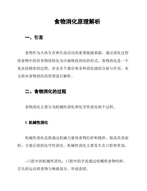 食物消化原理解析