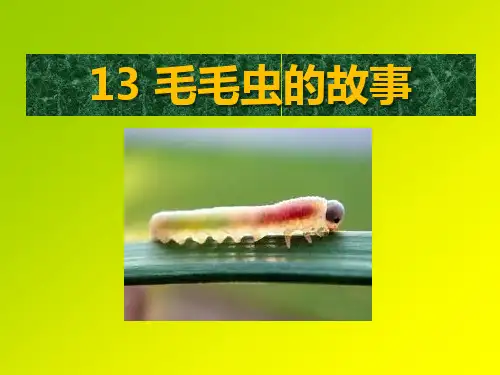 《毛毛虫的故事》PPT课件
