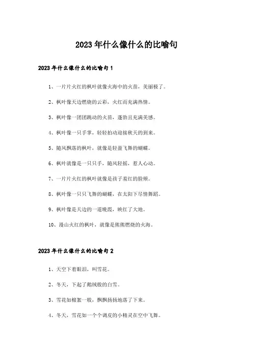 2023年什么像什么的比喻句