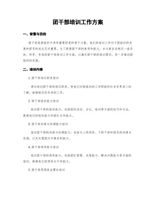 团干部培训工作方案