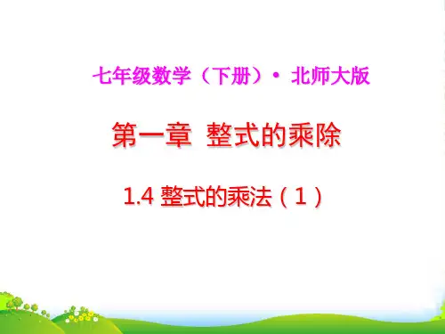 北师大版七年级数学下册第一章《整式的乘法(1)》公开课课件