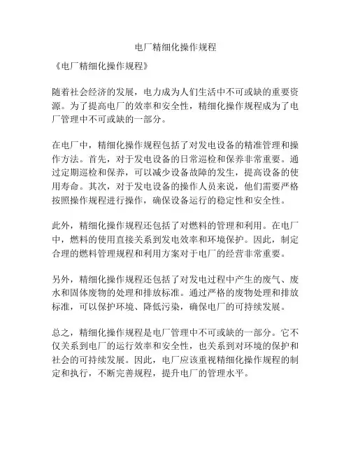 电厂精细化操作规程