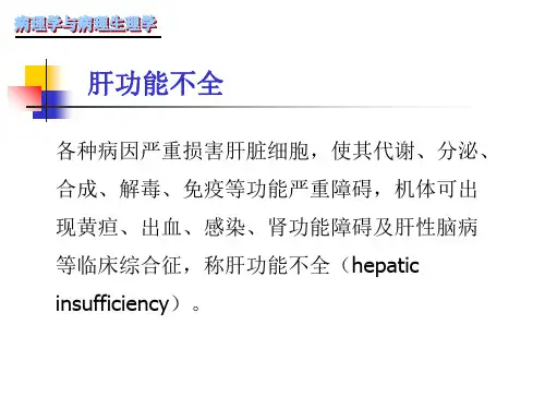 病理生理肝功不全-PPT文档
