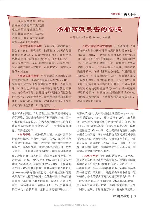水稻高温热害的防控