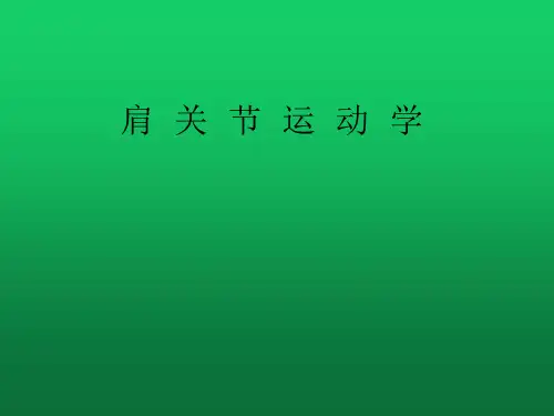 肩关节运动学