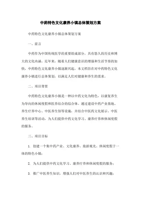 中药特色文化康养小镇总体策划方案