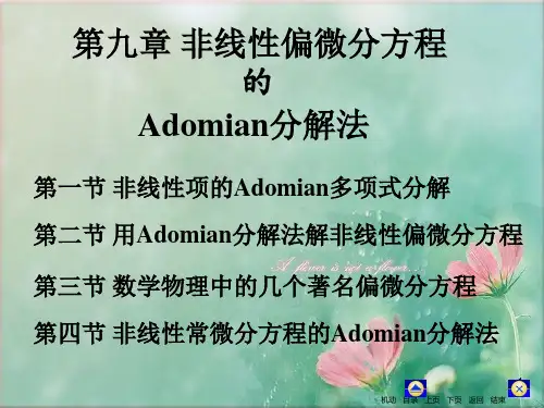微分方程罗兆富等编第九章非线性偏微分方程Adomian分解法