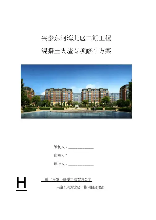 混凝土结构夹渣专项修补方案
