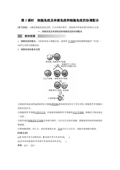 高中生物新教材选择性必修一同步讲义 第4章 第2节 第2课时 细胞免疫及体液免疫和细胞免疫的协调配合