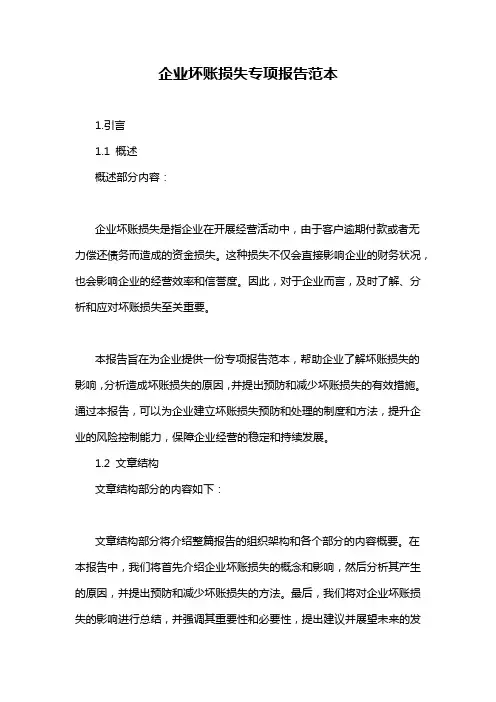 企业坏账损失专项报告范本