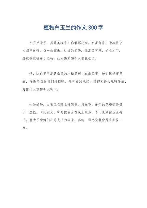 植物白玉兰的作文300字