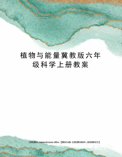 植物与能量冀教版六年级科学上册教案