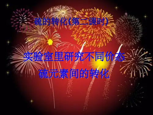 不同价态硫元素之间的转化PPT课件