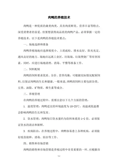 肉鸭的养殖技术