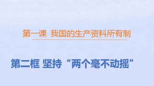 新教材高中政治第一单元第一课我国的生产资料所有制第二框坚持“两个毫不动摇”pptx课件部编版必修2