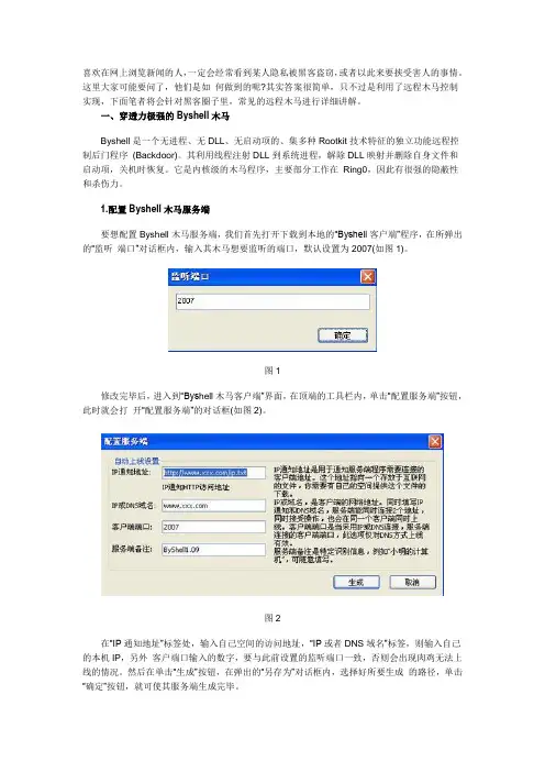 常用黑客软件简介