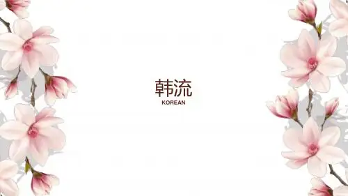 韩流文化——检索报告