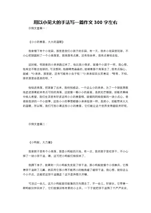 用以小见大的手法写一篇作文300字左右