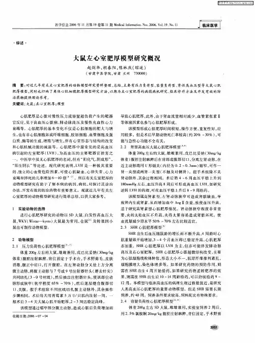 大鼠左心室肥厚模型研究概况