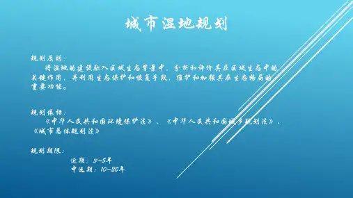 城市湿地规划、削减氨氮含量