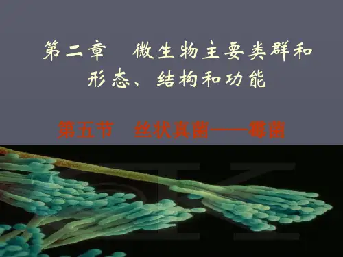 第二章 微生物主要类群的形态、结构和功能(三)