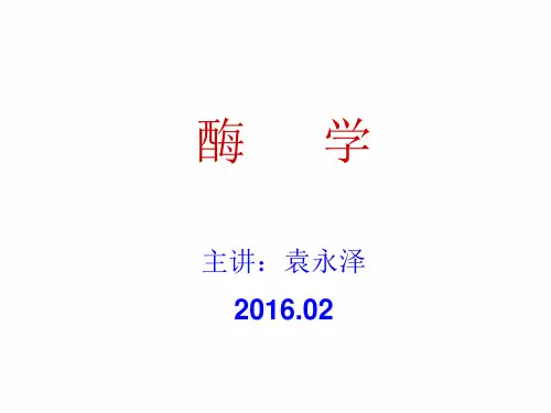 第2章-酶分离纯化