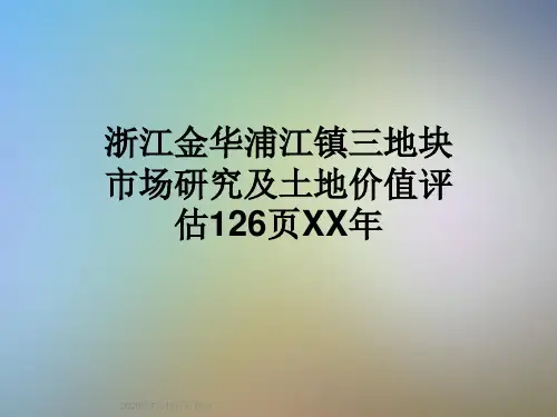浙江金华浦江镇三地块市场研究及土地价值评估126页XX年