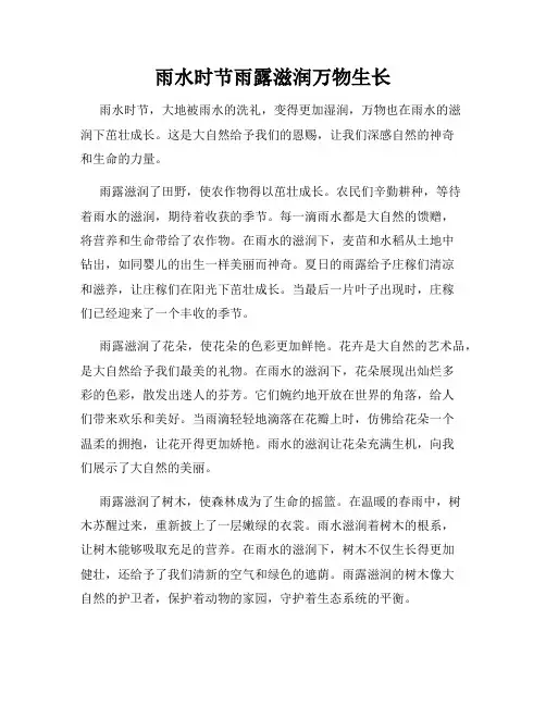 雨水时节雨露滋润万物生长