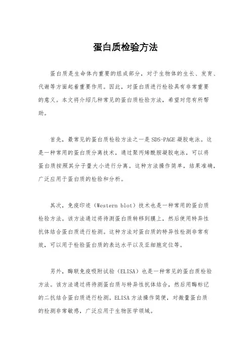 蛋白质检验方法