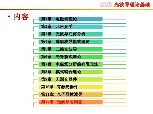 光波导的制备