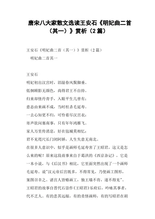 唐宋八大家散文选读王安石《明妃曲二首其一》赏析篇