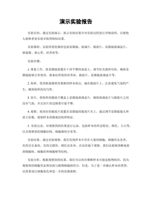 演示实验报告