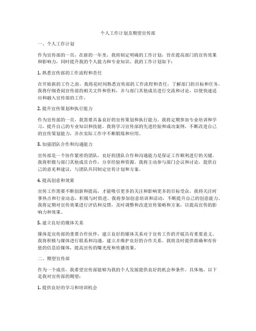 个人工作计划及期望宣传部