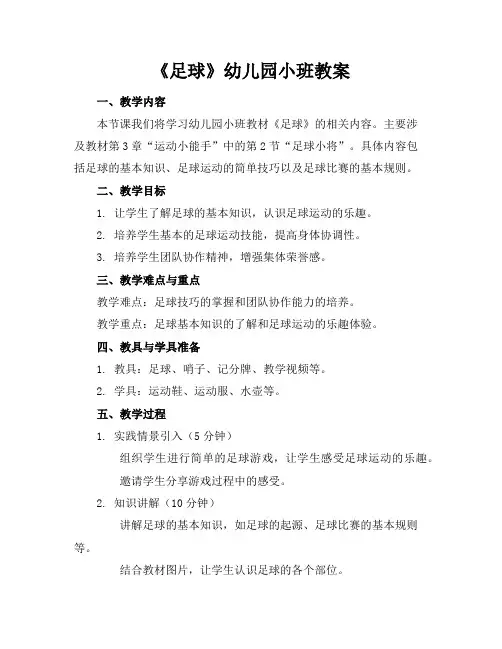 《足球》幼儿园小班教案