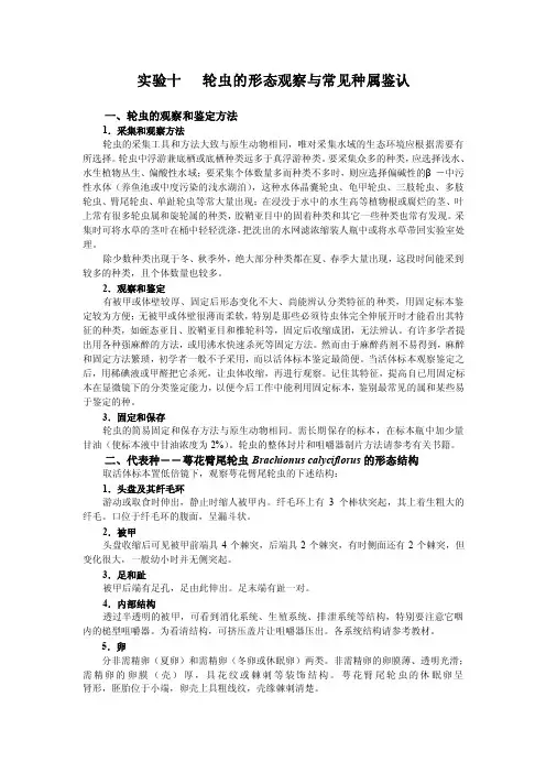 实验十轮虫的形态观察与常见种属鉴认